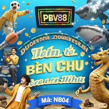 qbet5